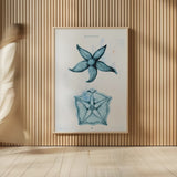 Blue Bay II by Deborah Revell. shown as over sized large wall art. Available as an archival giclee rolled canvas, fine art paper, or poster print. SKU 91277h.