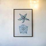 Blue Bay II by Deborah Revell. shown as a paper print in a black flame. Available as a archival giclee rolled canvas, fine art paper, or poster print. SKU 91277h.
