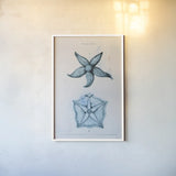 Blue Bay II by Deborah Revell. shown as a paper print in a white frame. Available as a archival giclee rolled canvas, fine art paper, or poster print. SKU 91277h.