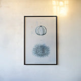 Blue Bay III by Deborah Revell. shown as a paper print in a black flame. Available as a archival giclee rolled canvas, fine art paper, or poster print. SKU 91278h.