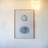 Blue Bay III by Deborah Revell. shown as a paper print in a natural frame. Available as a archival giclee rolled canvas, fine art paper, or poster print. SKU 91278h.