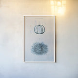 Blue Bay III by Deborah Revell. shown as a paper print in a white frame. Available as a archival giclee rolled canvas, fine art paper, or poster print. SKU 91278h.