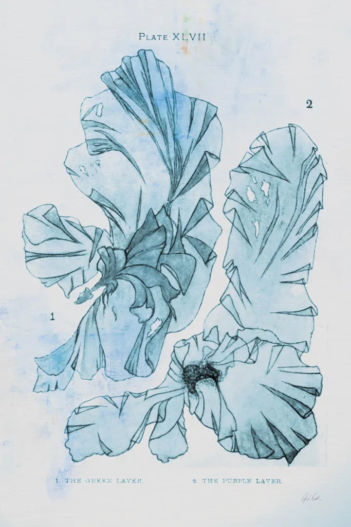Blue Bay V by Deborah Revell. SKU 91280h. Archival Giclee Fine art print for wall decor.