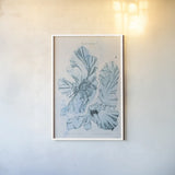 Blue Bay V by Deborah Revell. shown as a paper print in a white frame. Available as a archival giclee rolled canvas, fine art paper, or poster print. SKU 91280h.
