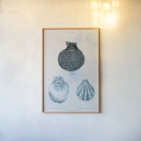 Blue Bay VII by Deborah Revell. shown as a paper print in a natural frame. Available as a archival giclee rolled canvas, fine art paper, or poster print. SKU 91282h.
