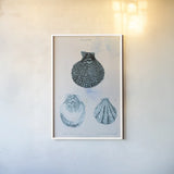 Blue Bay VII by Deborah Revell. shown as a paper print in a white frame. Available as a archival giclee rolled canvas, fine art paper, or poster print. SKU 91282h.