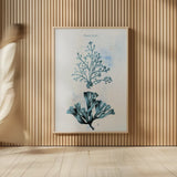 Blue Bay VIII by Deborah Revell. shown as over sized large wall art. Available as an archival giclee rolled canvas, fine art paper, or poster print. SKU 91283h.
