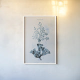 Blue Bay VIII by Deborah Revell. shown as a paper print in a white frame. Available as a archival giclee rolled canvas, fine art paper, or poster print. SKU 91283h.