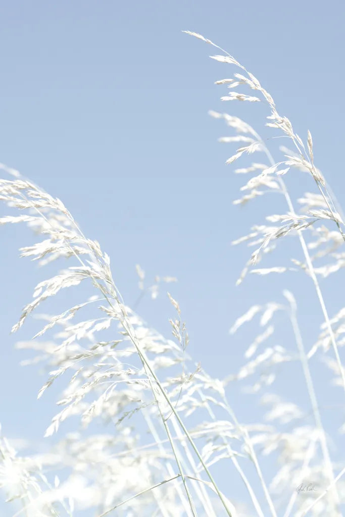 Blue Breeze by Deborah Revell. SKU 91142h. Archival Giclee Fine art print for wall decor.