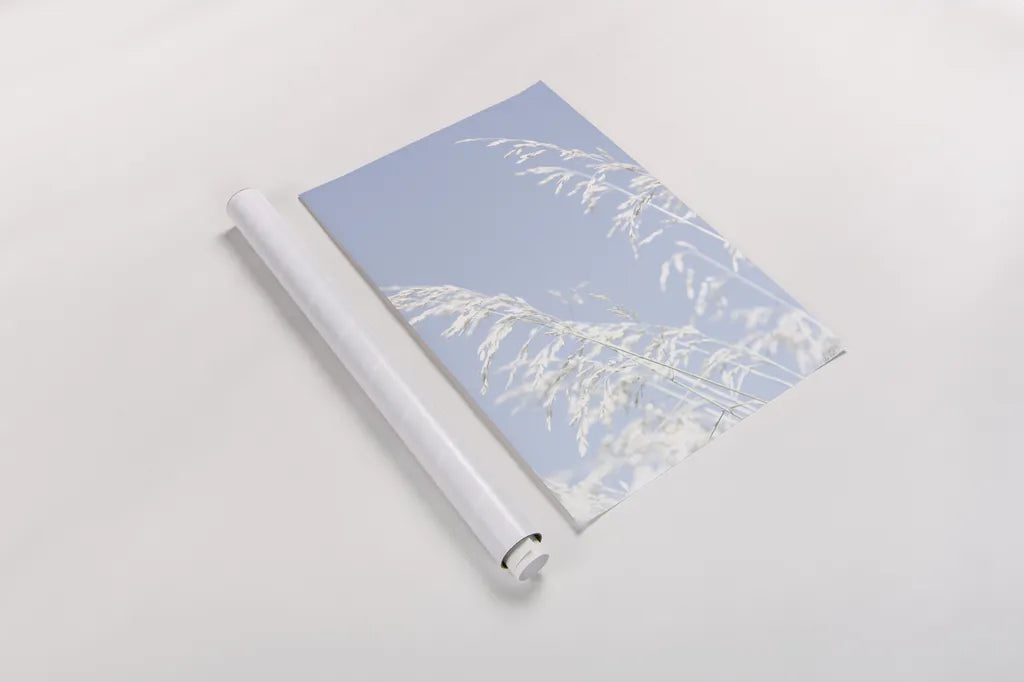 Blue Breeze by Deborah Revell. shown as a rolled paper print. Available as archival giclee rolled canvas, fine art paper, or poster print. SKU 91142h.