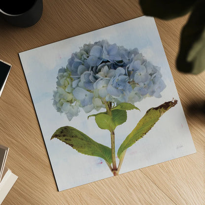Blue Hydrangea by Deborah Revell. Shown as a detailed flat fine art print, highlighting archival giclee quality. Available as an archival giclee rolled canvas, fine art paper, or poster print. SKU 91227a.