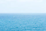 Blue Sea by Deborah Revell. SKU 103791i. Archival Giclee Fine art print for wall decor.