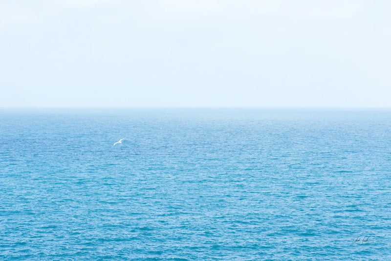 Blue Sea by Deborah Revell. SKU 103791i. Archival Giclee Fine art print for wall decor.