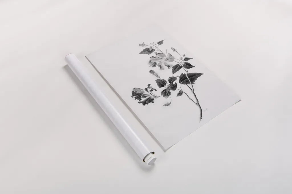 Botanical I by Deborah Revell. shown as a rolled paper print. Available as archival giclee rolled canvas, fine art paper, or poster print. SKU 96567h.