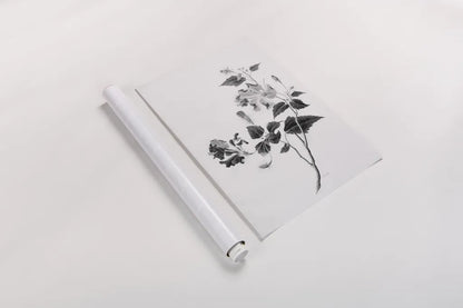 Botanical I by Deborah Revell. shown as a rolled paper print. Available as archival giclee rolled canvas, fine art paper, or poster print. SKU 96567h.