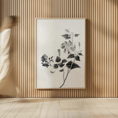 Botanical I by Deborah Revell. shown as over sized large wall art. Available as an archival giclee rolled canvas, fine art paper, or poster print. SKU 96567h.