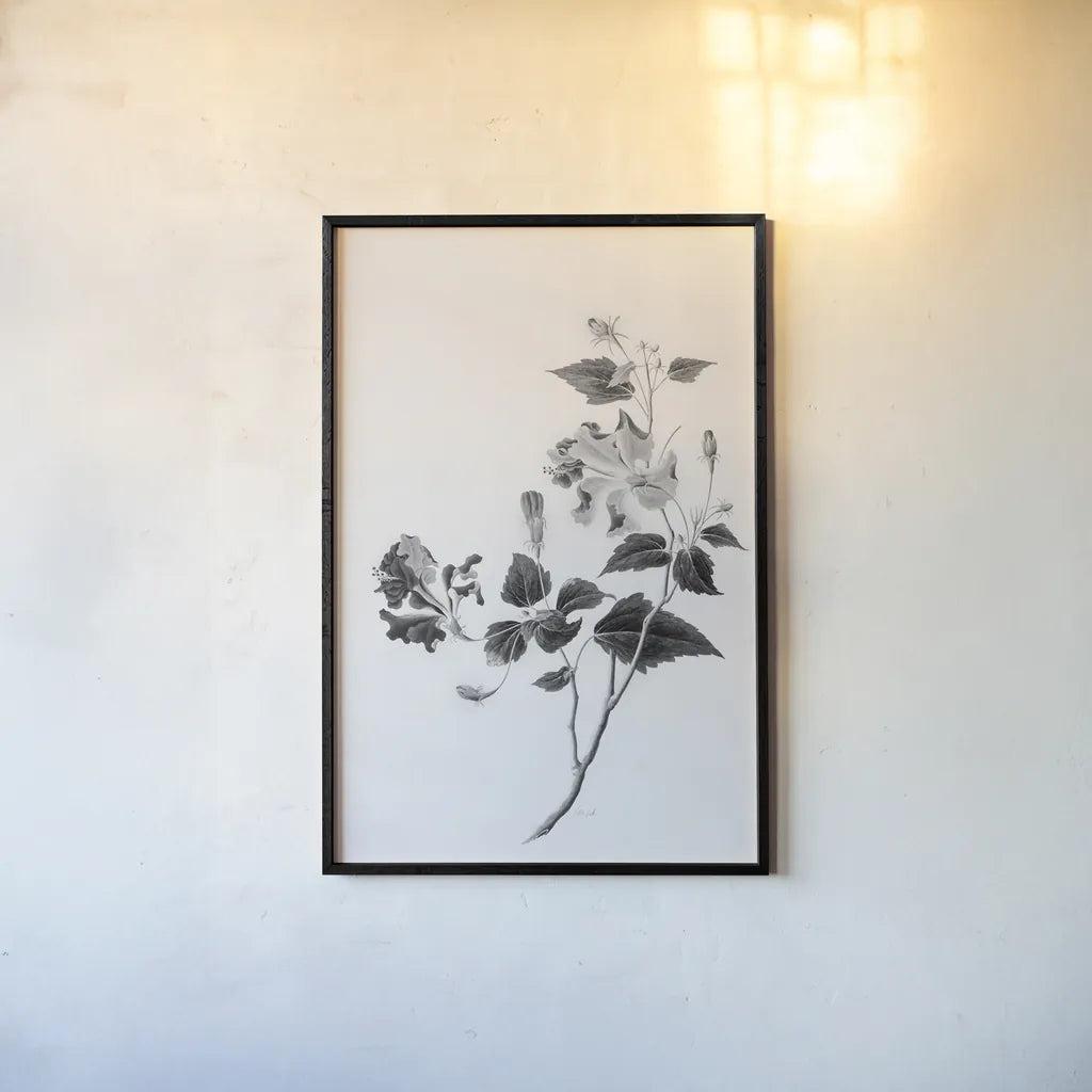Botanical I by Deborah Revell. shown as a paper print in a black flame. Available as a archival giclee rolled canvas, fine art paper, or poster print. SKU 96567h.