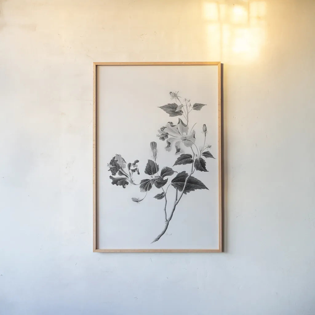 Botanical I by Deborah Revell. shown as a paper print in a natural frame. Available as a archival giclee rolled canvas, fine art paper, or poster print. SKU 96567h.