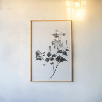Botanical I by Deborah Revell. shown as a paper print in a natural frame. Available as a archival giclee rolled canvas, fine art paper, or poster print. SKU 96567h.