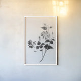 Botanical I by Deborah Revell. shown as a paper print in a white frame. Available as a archival giclee rolled canvas, fine art paper, or poster print. SKU 96567h.