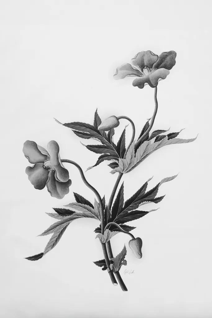 Botanical II by Deborah Revell. SKU 96568h. Archival Giclee Fine art print for wall decor.