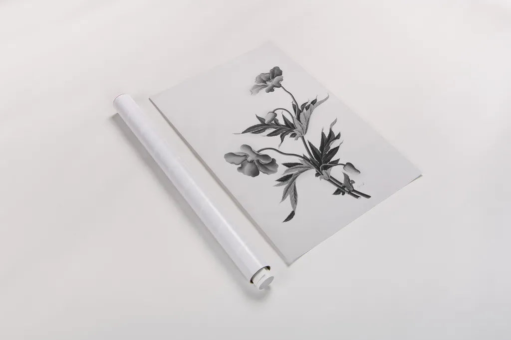 Botanical II by Deborah Revell. shown as a rolled paper print. Available as archival giclee rolled canvas, fine art paper, or poster print. SKU 96568h.