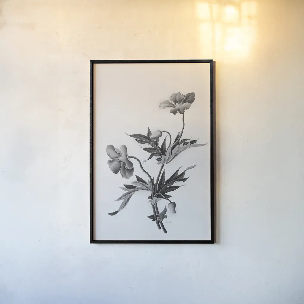 Botanical II by Deborah Revell. shown as a paper print in a black flame. Available as a archival giclee rolled canvas, fine art paper, or poster print. SKU 96568h.