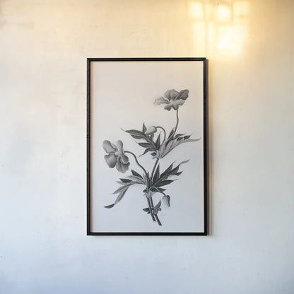 Botanical II by Deborah Revell. shown as a paper print in a black flame. Available as a archival giclee rolled canvas, fine art paper, or poster print. SKU 96568h.