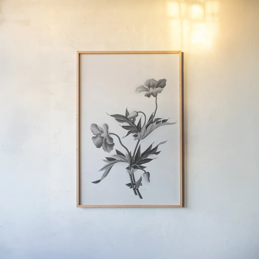 Botanical II by Deborah Revell. shown as a paper print in a natural frame. Available as a archival giclee rolled canvas, fine art paper, or poster print. SKU 96568h.