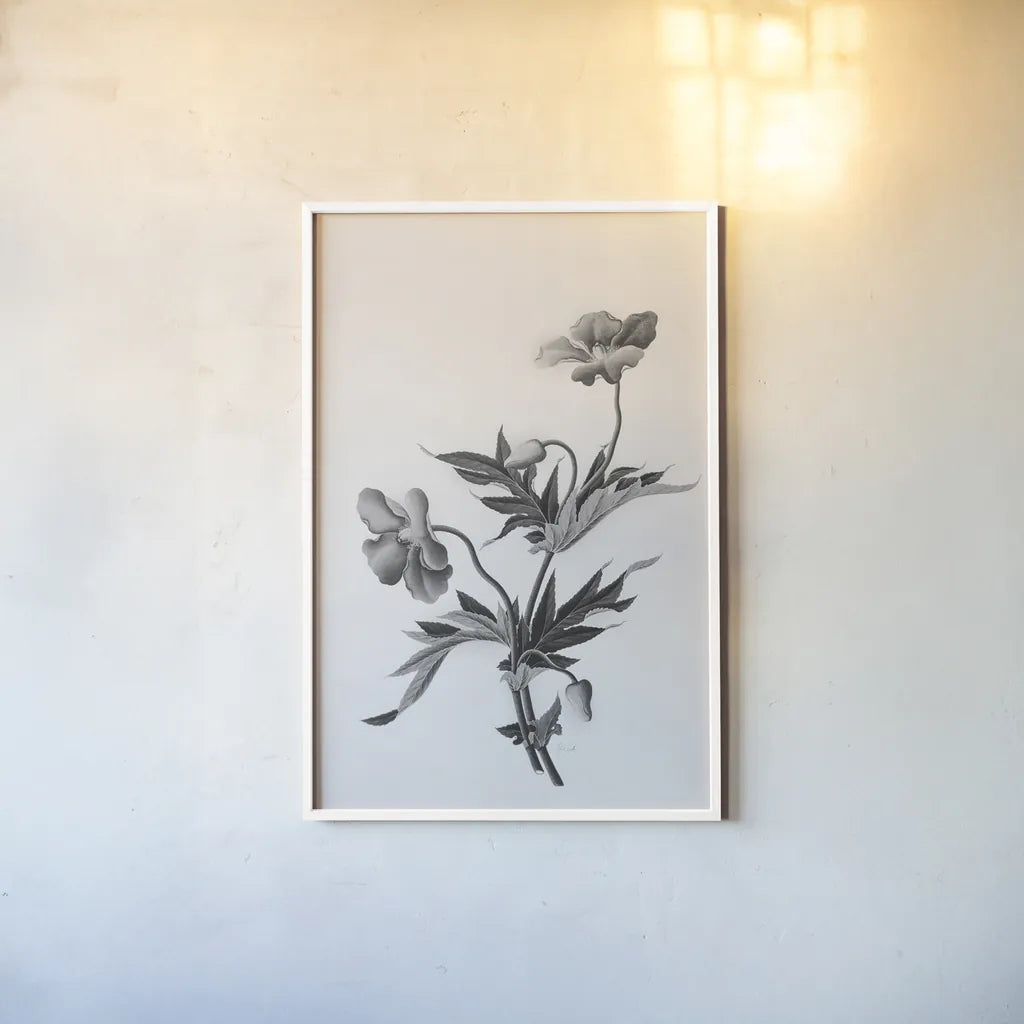Botanical II by Deborah Revell. shown as a paper print in a white frame. Available as a archival giclee rolled canvas, fine art paper, or poster print. SKU 96568h.