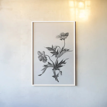 Botanical II by Deborah Revell. shown as a paper print in a white frame. Available as a archival giclee rolled canvas, fine art paper, or poster print. SKU 96568h.