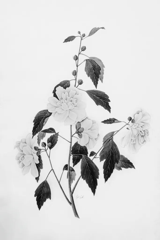 Botanical III by Deborah Revell. SKU 96569h. Archival Giclee Fine art print for wall decor.