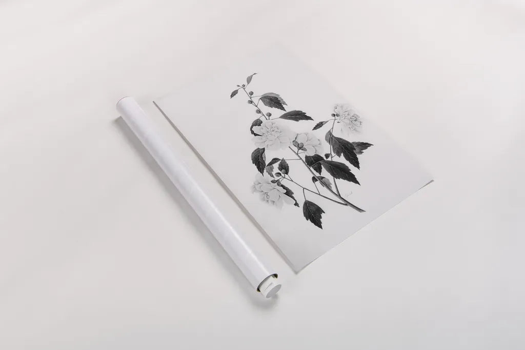 Botanical III by Deborah Revell. shown as a rolled paper print. Available as archival giclee rolled canvas, fine art paper, or poster print. SKU 96569h.