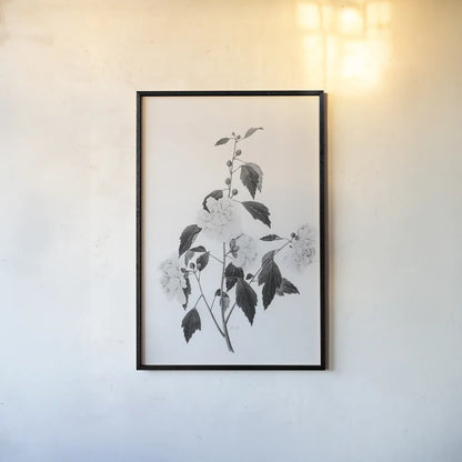 Botanical III by Deborah Revell. shown as a paper print in a black flame. Available as a archival giclee rolled canvas, fine art paper, or poster print. SKU 96569h.