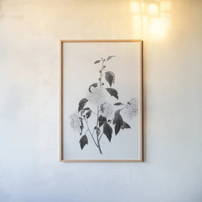 Botanical III by Deborah Revell. shown as a paper print in a natural frame. Available as a archival giclee rolled canvas, fine art paper, or poster print. SKU 96569h.