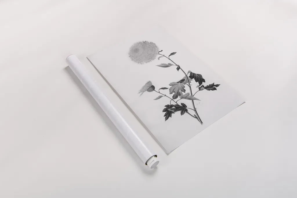 Botanical IV by Deborah Revell. shown as a rolled paper print. Available as archival giclee rolled canvas, fine art paper, or poster print. SKU 96570h.