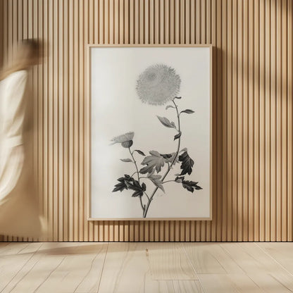 Botanical IV by Deborah Revell. shown as over sized large wall art. Available as an archival giclee rolled canvas, fine art paper, or poster print. SKU 96570h.