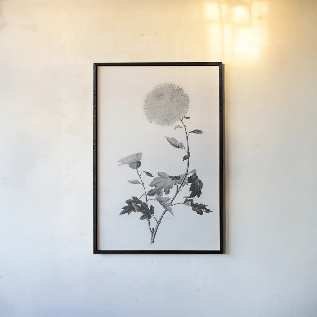 Botanical IV by Deborah Revell. shown as a paper print in a black flame. Available as a archival giclee rolled canvas, fine art paper, or poster print. SKU 96570h.
