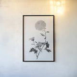 Botanical IV by Deborah Revell. shown as a paper print in a black flame. Available as a archival giclee rolled canvas, fine art paper, or poster print. SKU 96570h.