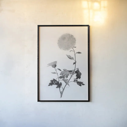 Botanical IV by Deborah Revell. shown as a paper print in a black flame. Available as a archival giclee rolled canvas, fine art paper, or poster print. SKU 96570h.