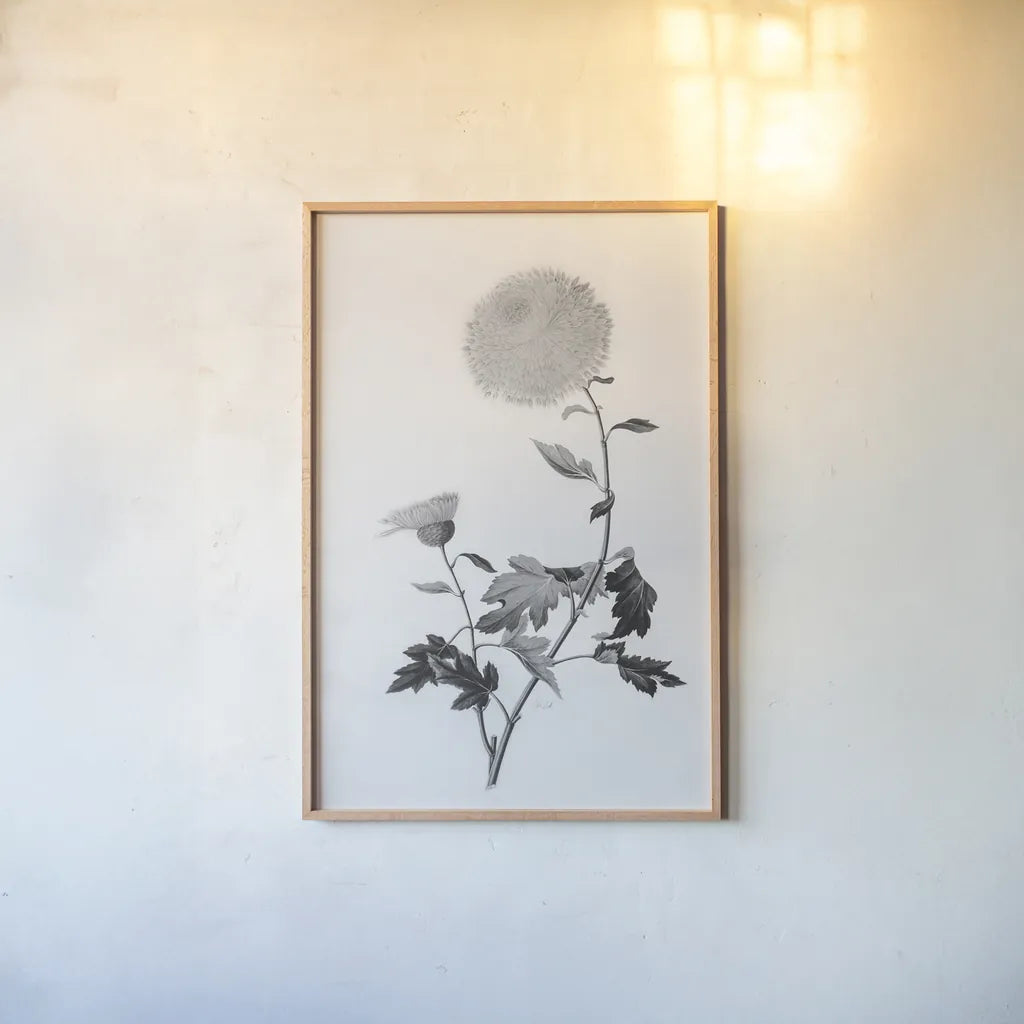 Botanical IV by Deborah Revell. shown as a paper print in a natural frame. Available as a archival giclee rolled canvas, fine art paper, or poster print. SKU 96570h.