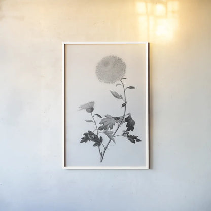 Botanical IV by Deborah Revell. shown as a paper print in a white frame. Available as a archival giclee rolled canvas, fine art paper, or poster print. SKU 96570h.