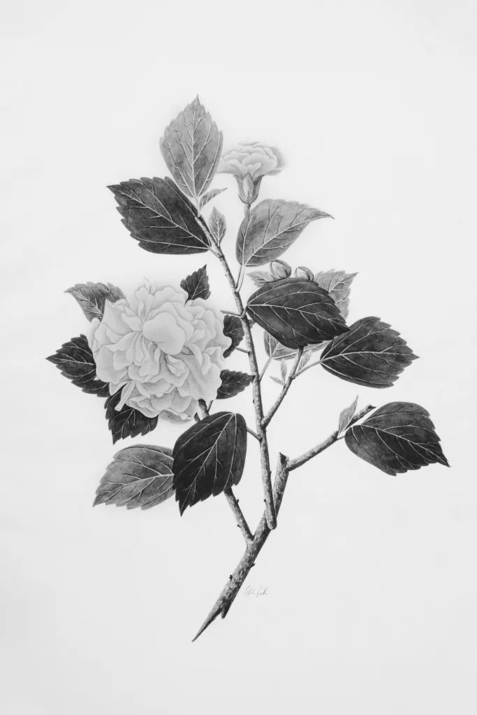 Botanical V by Deborah Revell. SKU 96571h. Archival Giclee Fine art print for wall decor.