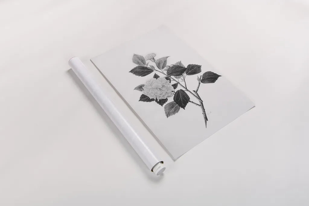 Botanical V by Deborah Revell. shown as a rolled paper print. Available as archival giclee rolled canvas, fine art paper, or poster print. SKU 96571h.