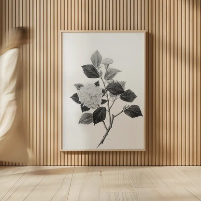 Botanical V by Deborah Revell. shown as over sized large wall art. Available as an archival giclee rolled canvas, fine art paper, or poster print. SKU 96571h.