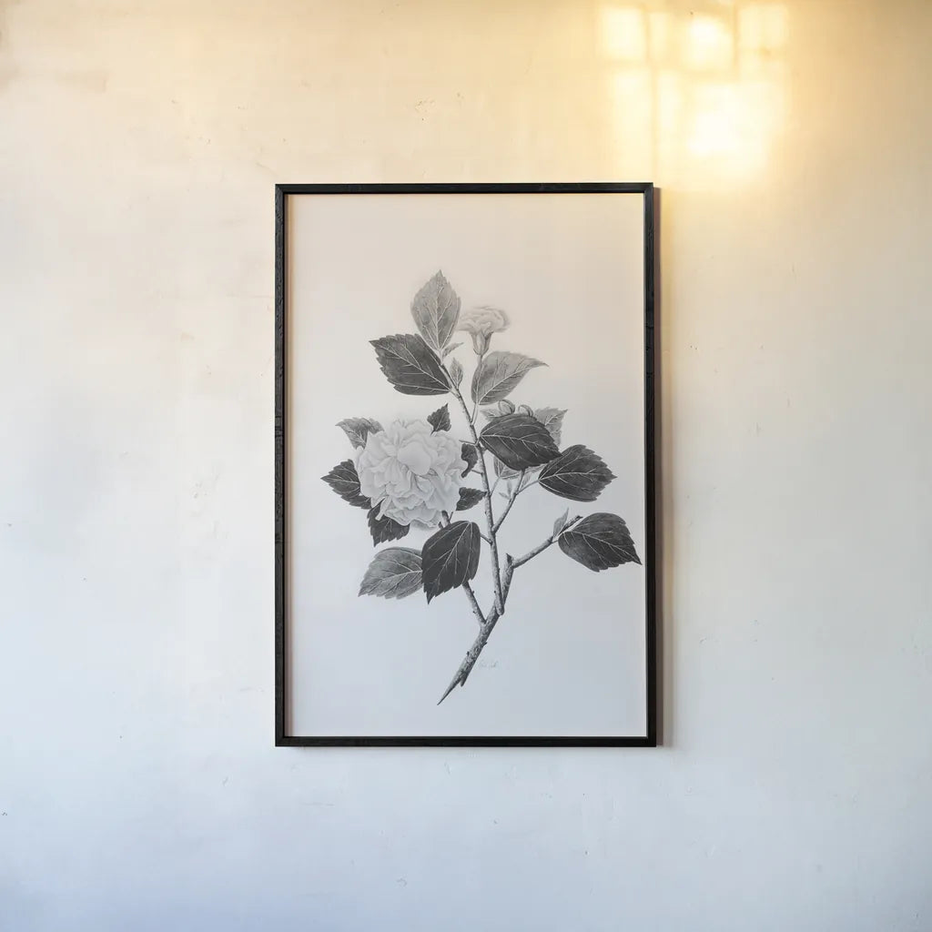 Botanical V by Deborah Revell. shown as a paper print in a black flame. Available as a archival giclee rolled canvas, fine art paper, or poster print. SKU 96571h.