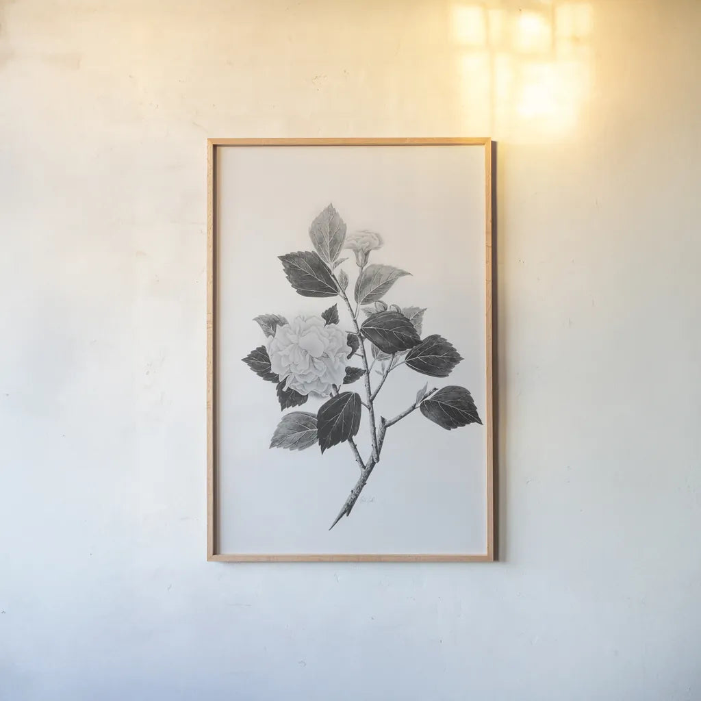 Botanical V by Deborah Revell. shown as a paper print in a natural frame. Available as a archival giclee rolled canvas, fine art paper, or poster print. SKU 96571h.