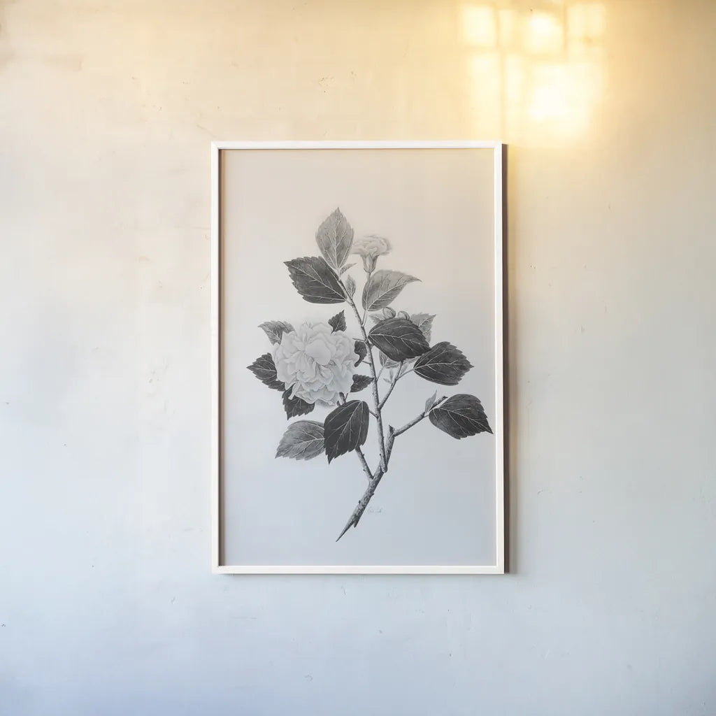 Botanical V by Deborah Revell. shown as a paper print in a white frame. Available as a archival giclee rolled canvas, fine art paper, or poster print. SKU 96571h.