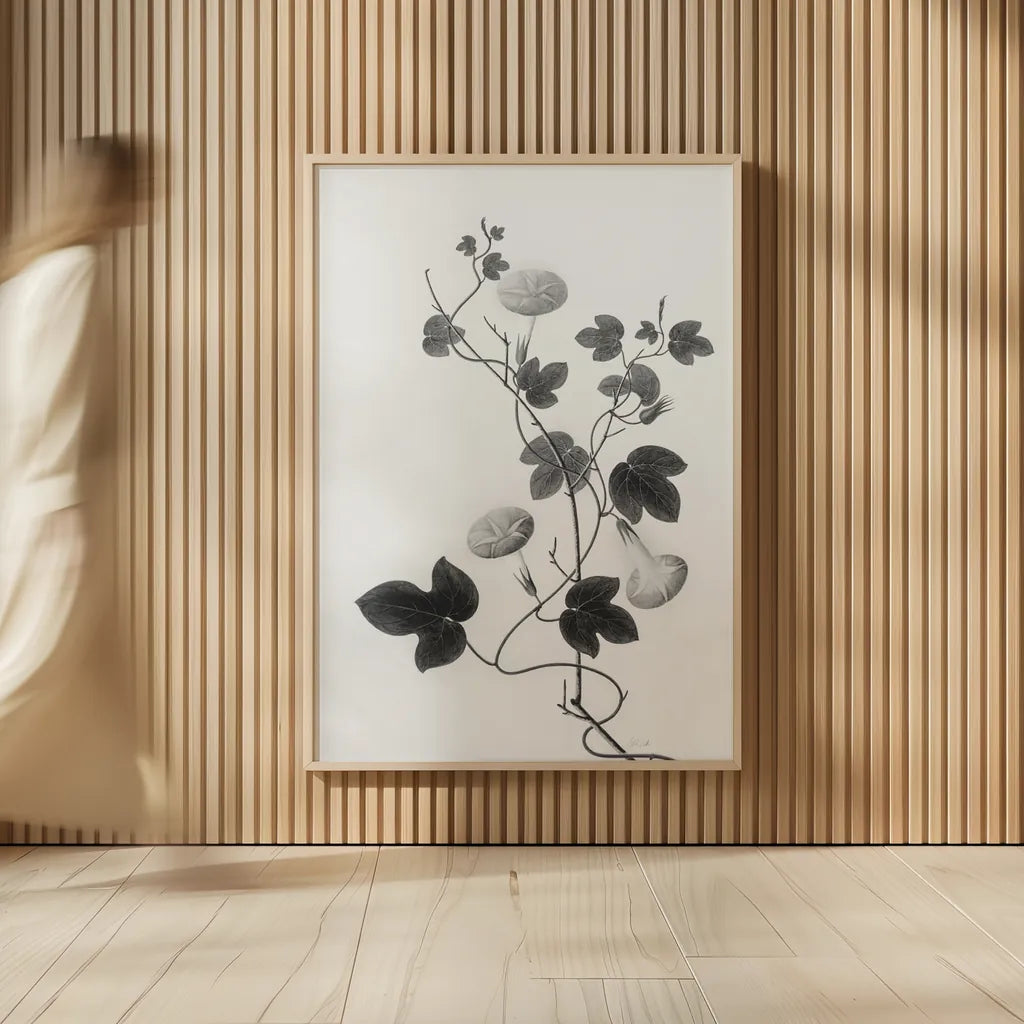 Botanical VI by Deborah Revell. shown as over sized large wall art. Available as an archival giclee rolled canvas, fine art paper, or poster print. SKU 96572h.