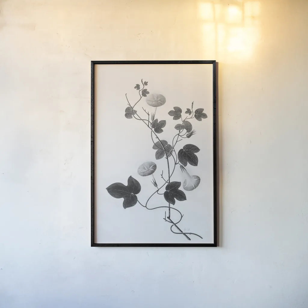 Botanical VI by Deborah Revell. shown as a paper print in a black flame. Available as a archival giclee rolled canvas, fine art paper, or poster print. SKU 96572h.